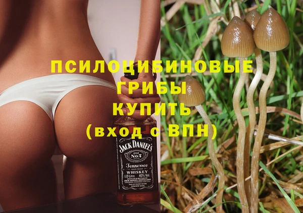 a pvp Вяземский