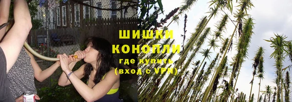 a pvp Вяземский