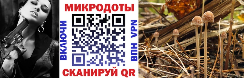 Псилоцибиновые грибы MAGIC MUSHROOMS  сколько стоит  Елец 